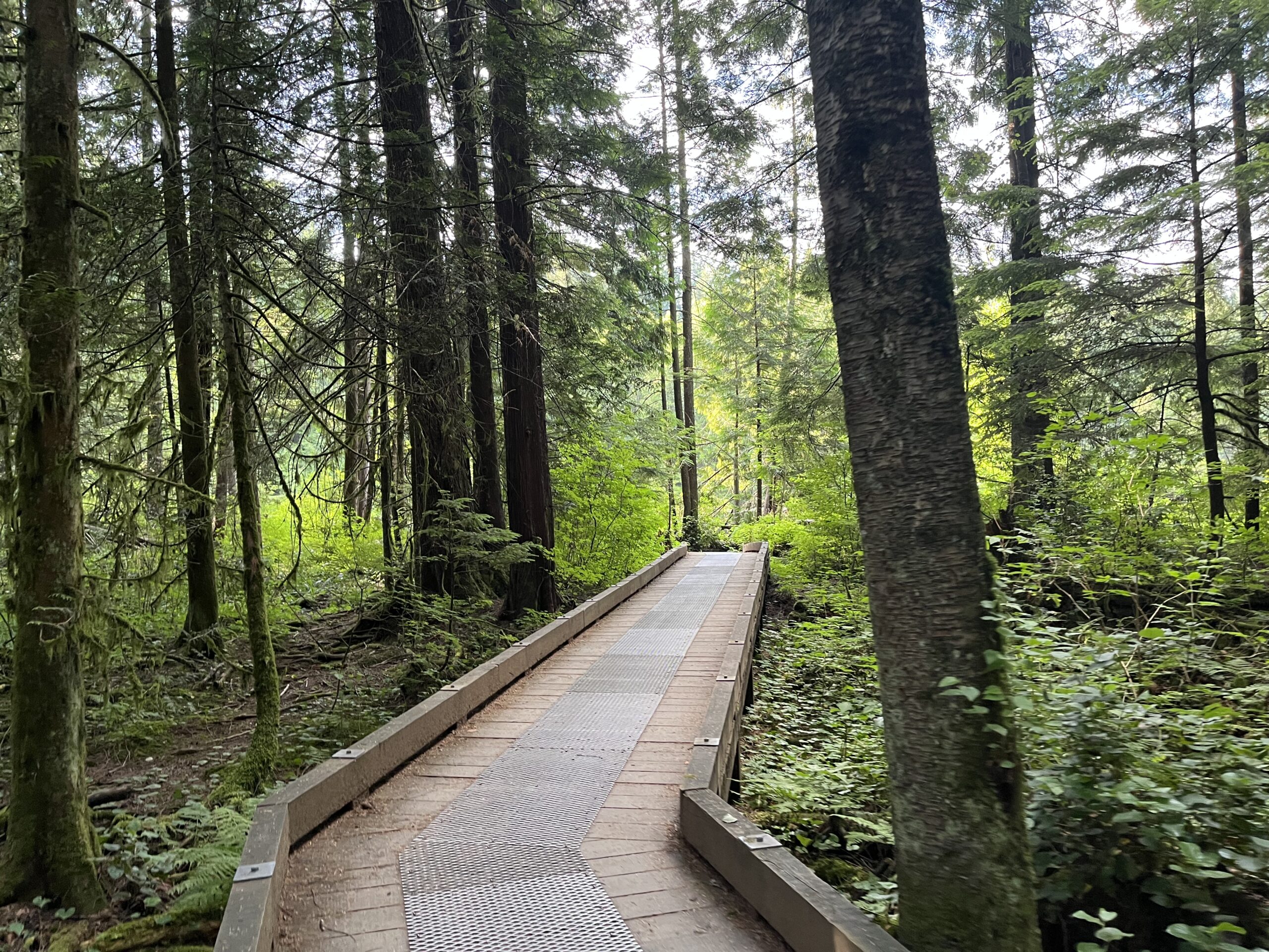 First-Time Homebuyer Grants & Rebates in BC – Updated for 2025
