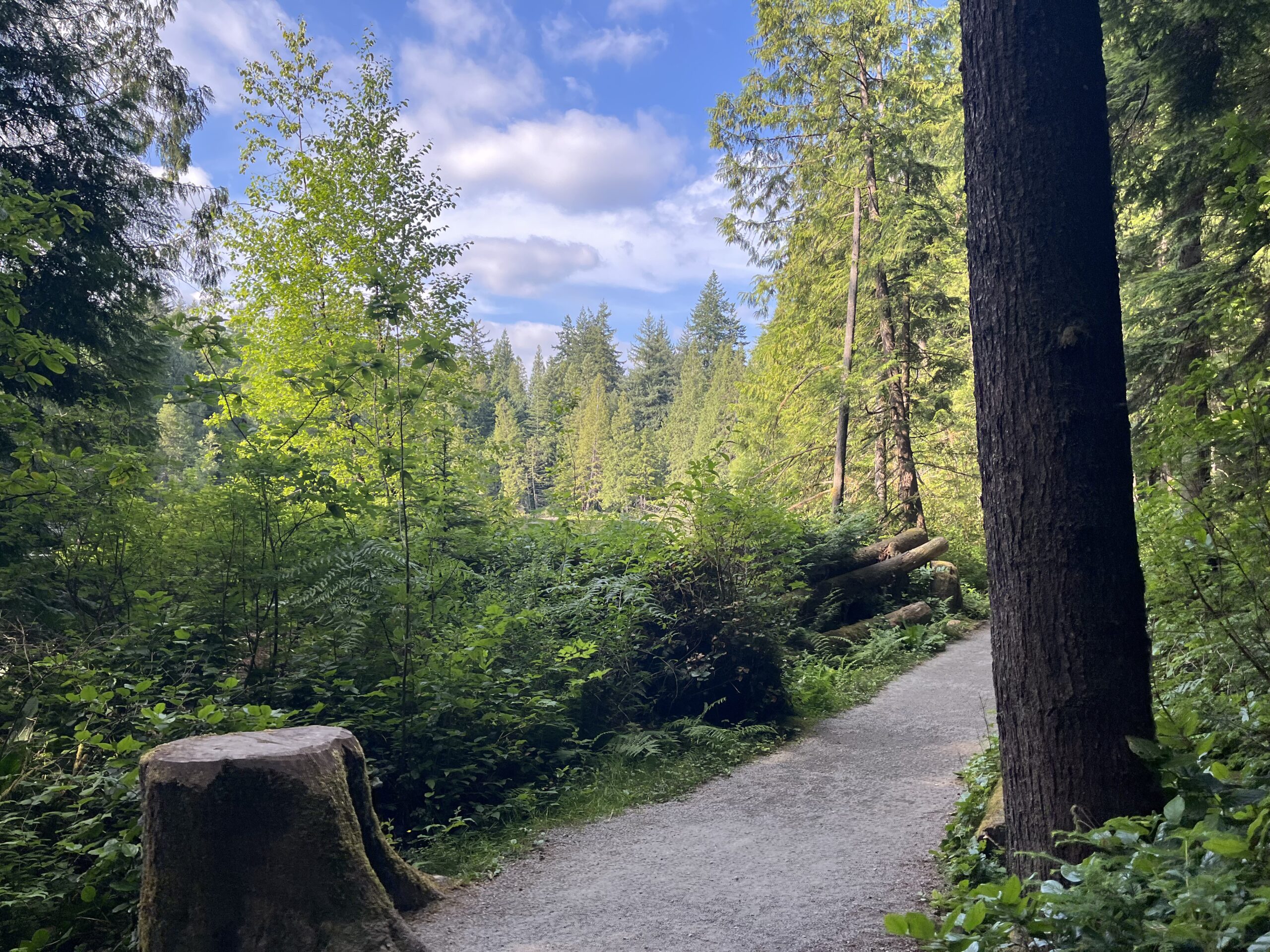 Is It Still Worth Buying in Vancouver? What the Last 30 Years Have Taught Me