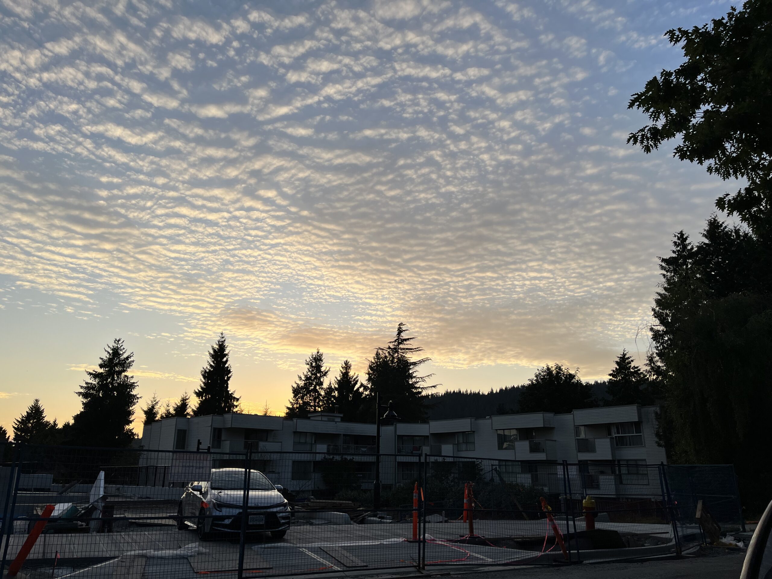 Townhouse vs Condo in Vancouver: What You Really Need to Know Before Buying