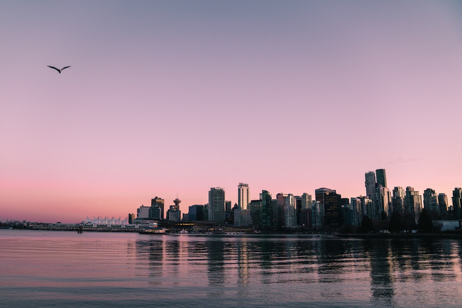 Luxury Living: Top Condos in Coal Harbour