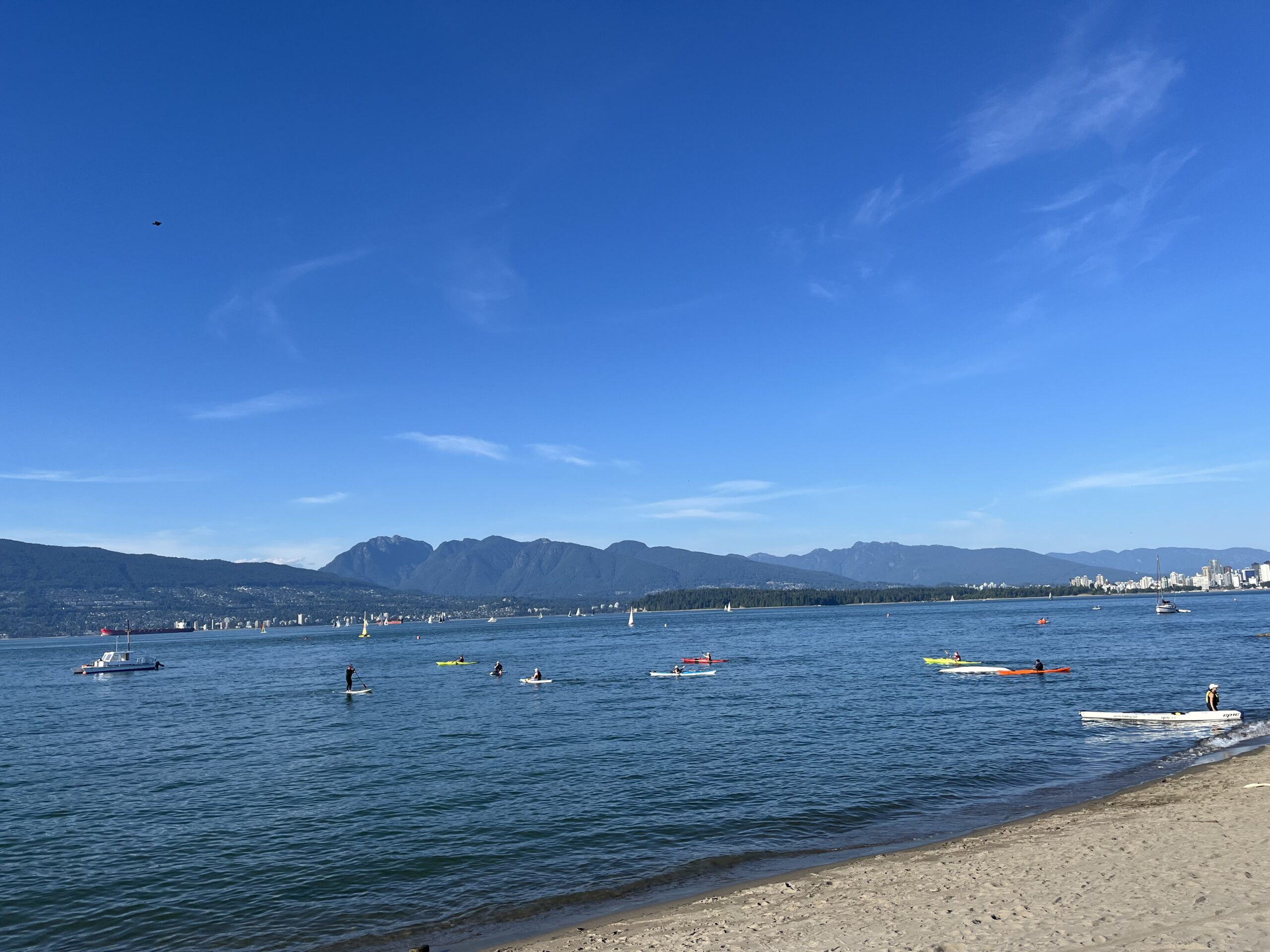 Where Are the Best Areas to Live in Vancouver for Young Professionals?