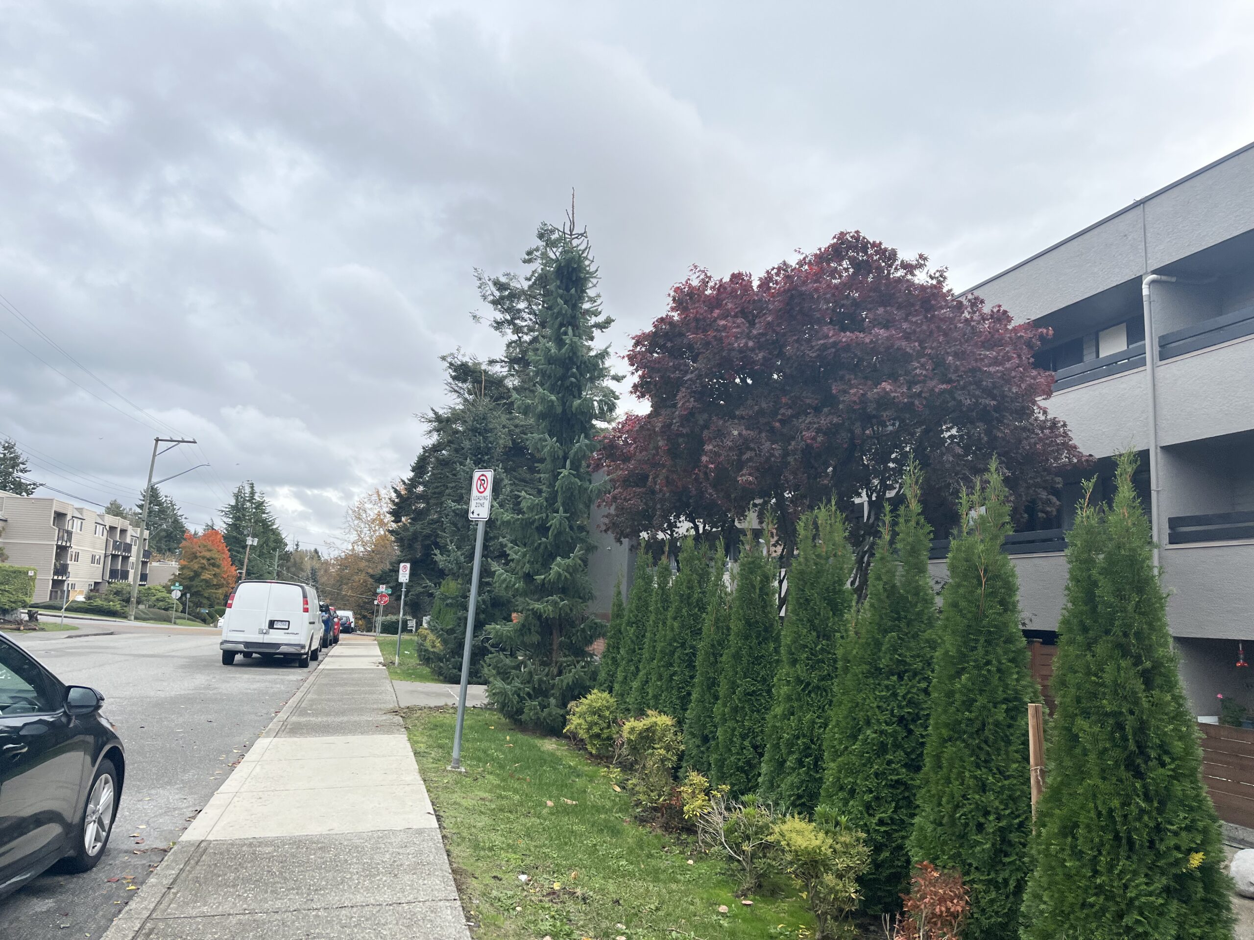 How to Choose the Right Realtor in Port Coquitlam