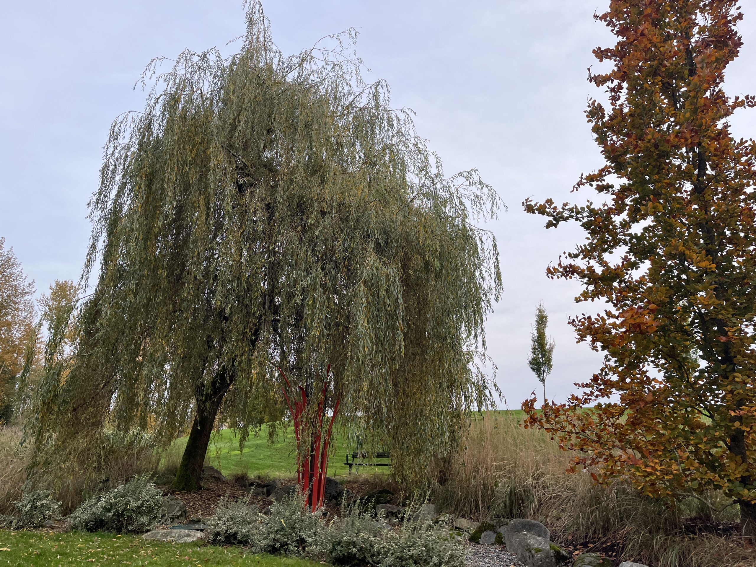 How to Create a Kid-Friendly Backyard Without Spending a Lot