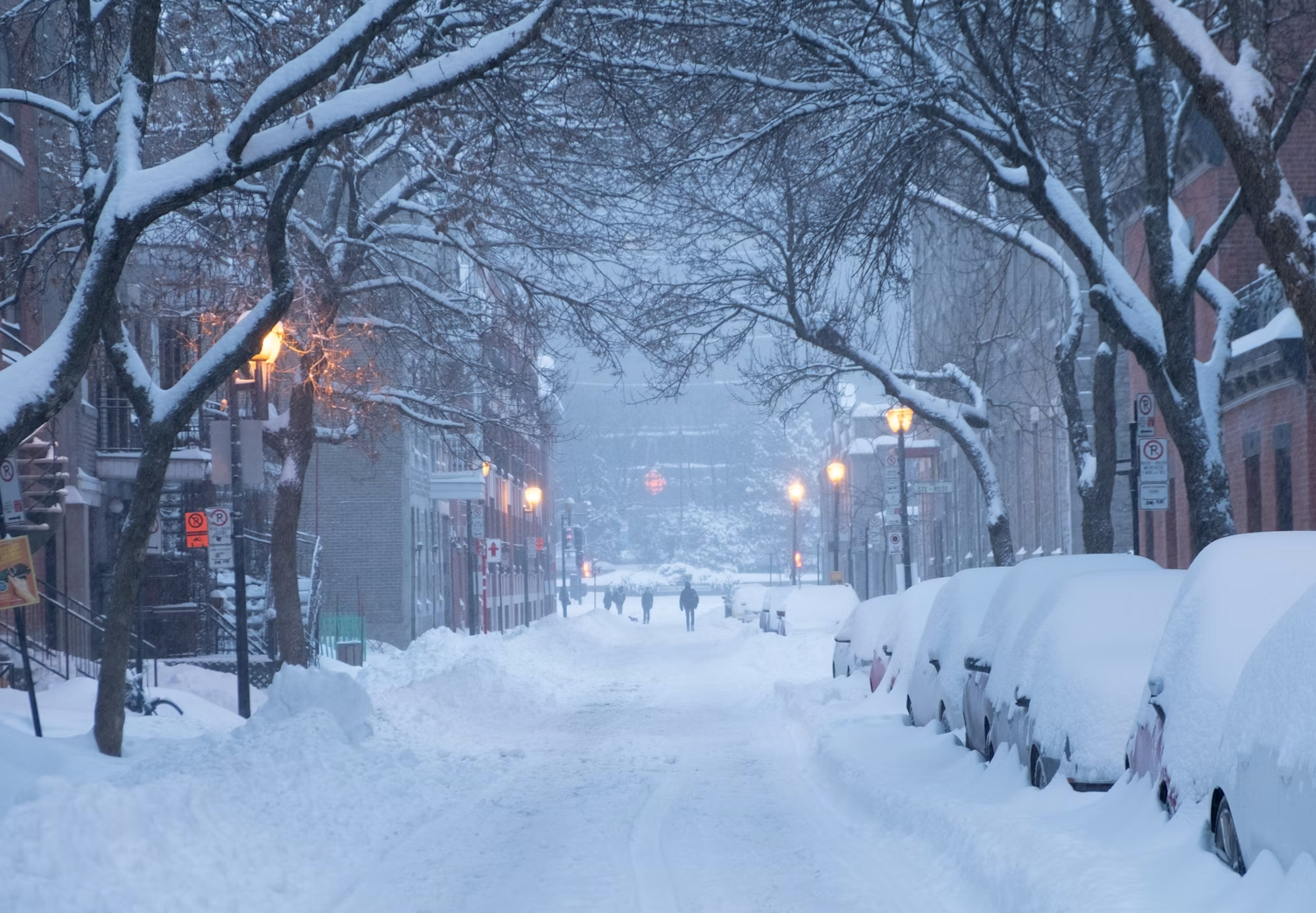 Choosing Deck Materials That Can Survive Canadian Winters